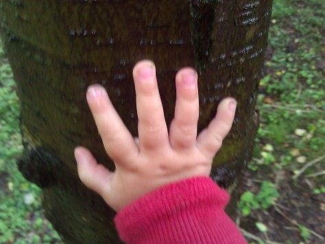 hands on a tree.
