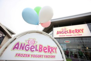 angelberry Frozen Yogurt Cafe