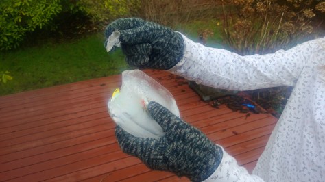 Look, I broke a piece. The fish is coming out.