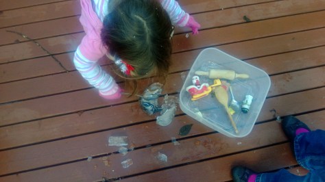 Look, I broke it in half - I can see a penguin.