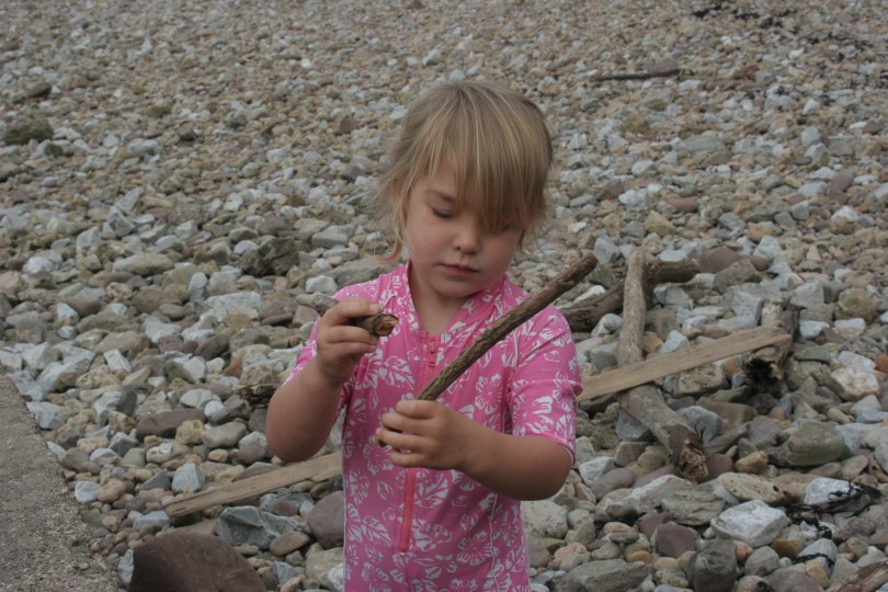 sticks and stones play