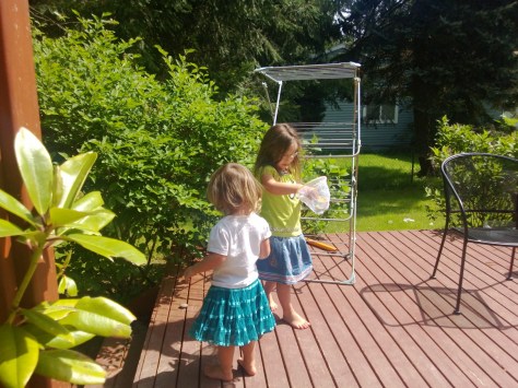 I hid them in the bushes.  Found one!  Now I have 1,2,3.4 butterflies, only 4 left to find.