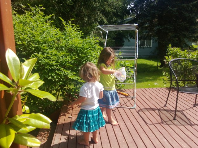 I hid them in the bushes.  Found one!  Now I have 1,2,3.4 butterflies, only 4 left to find.