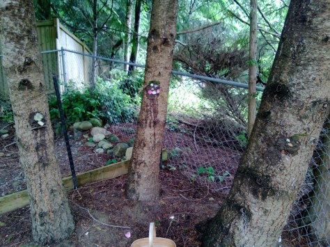 mud faces on trees for international mud day