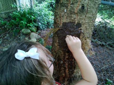 international mud day