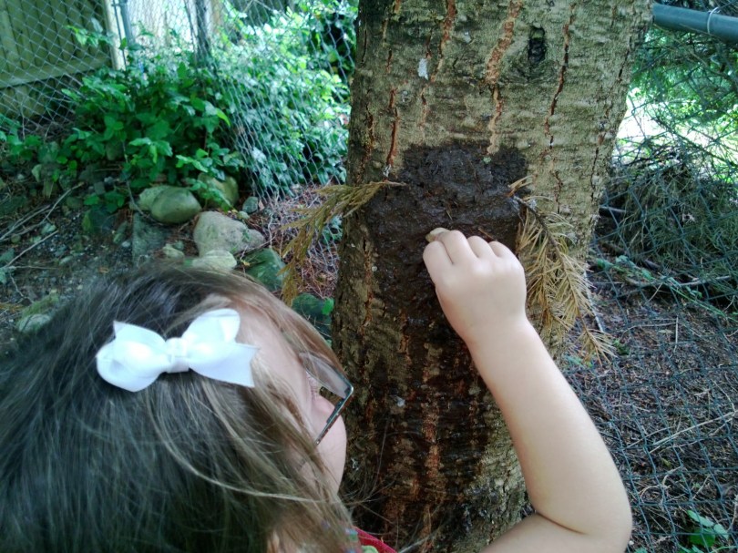 international mud day