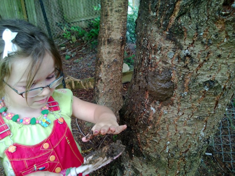 international mud day