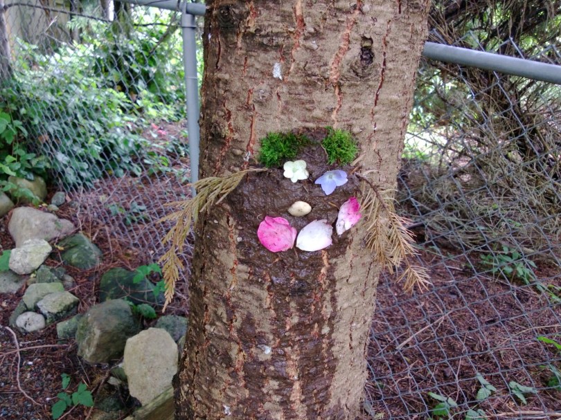 international mud day