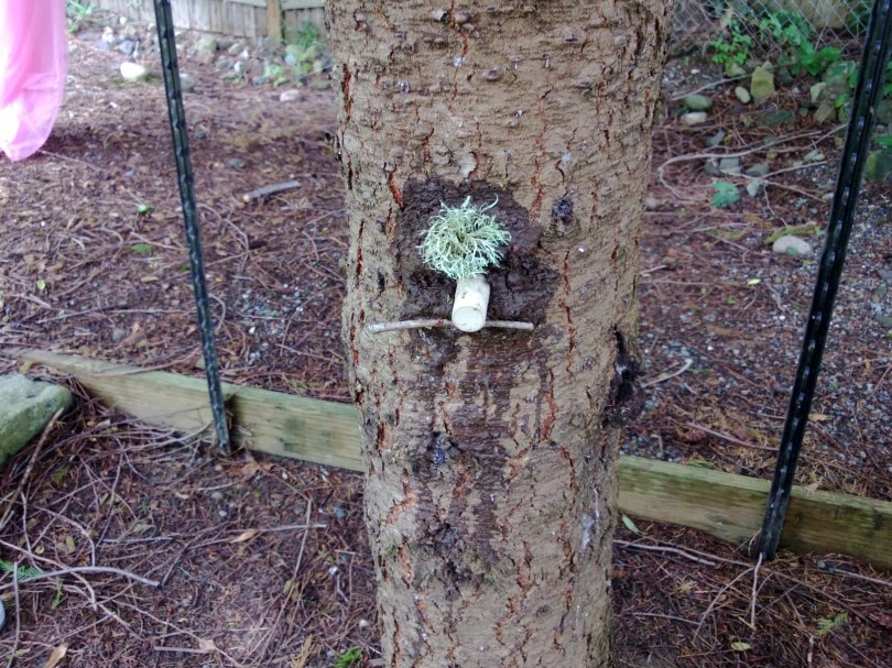 mud faces international mud day