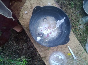 marvellous medicine 3