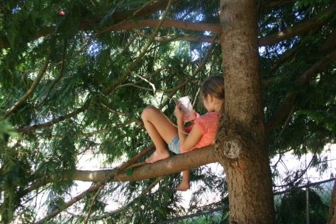 reading in the tree