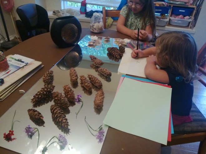 investigating natural materials