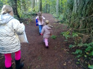woodland walk