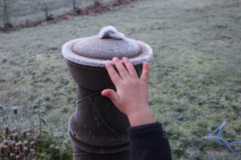 children exploring frost and ice