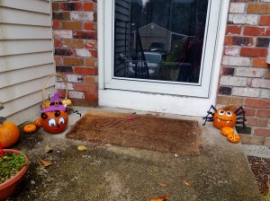 Hallowe'en pumpkins