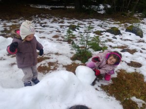 Snow at mount ranier National Park