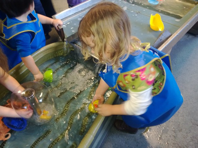 duck swimming down the waterfall