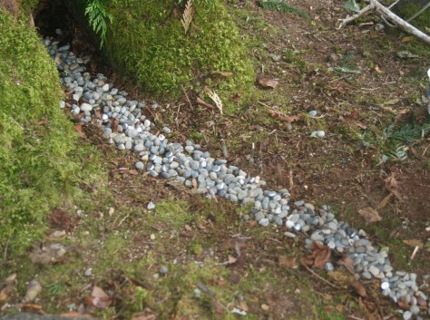 pathway to the door in a firy garden