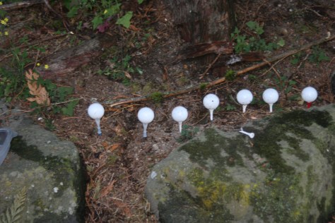 fun with a water gun