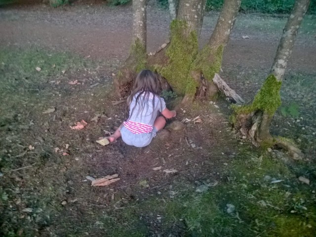 building a fairy house