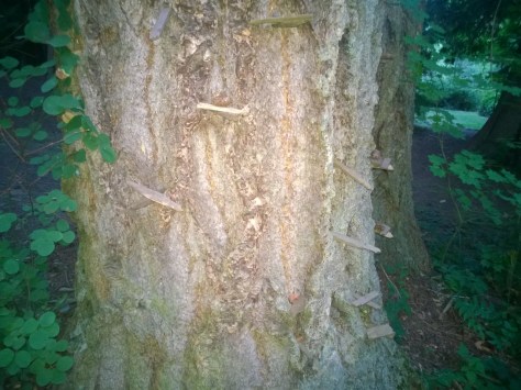 Complete with ledges for the fairies to climb on