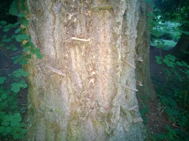 Complete with ledges for the fairies to climb on