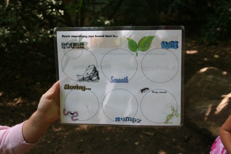 Can you find these things?