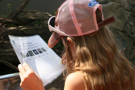 otter exhibit worksheet