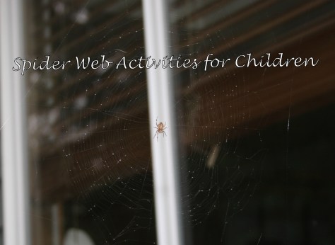 spider web activities