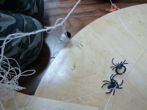 This child had watched the spider wrap up it's prey, so hung these around the web.