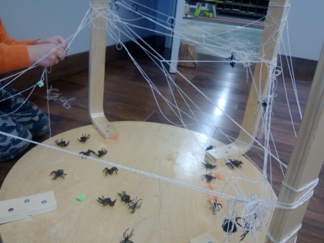 spider web on table