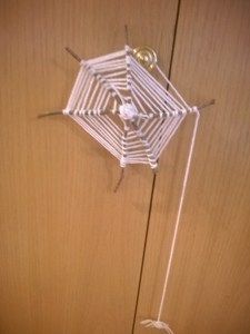 spider web