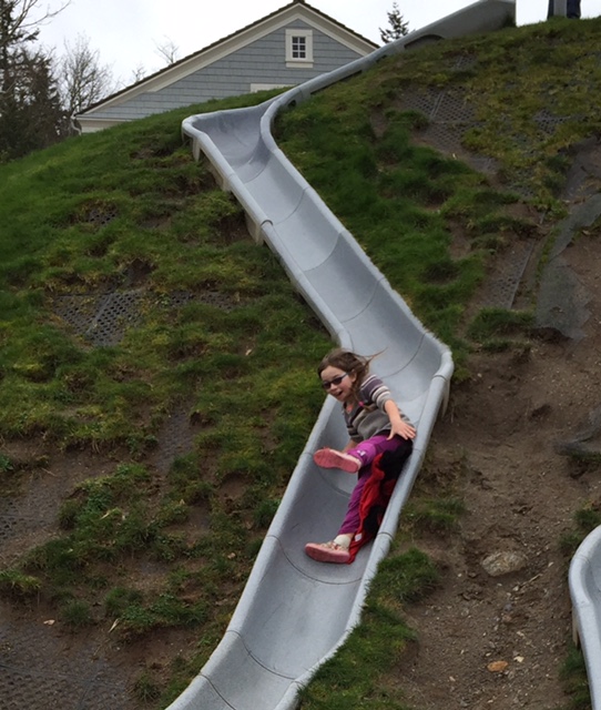 FullSizeRender [345556]