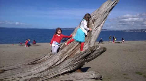 climbing on driftwood at Alki