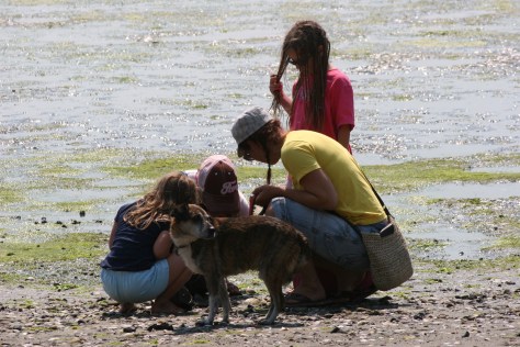 beachcombing