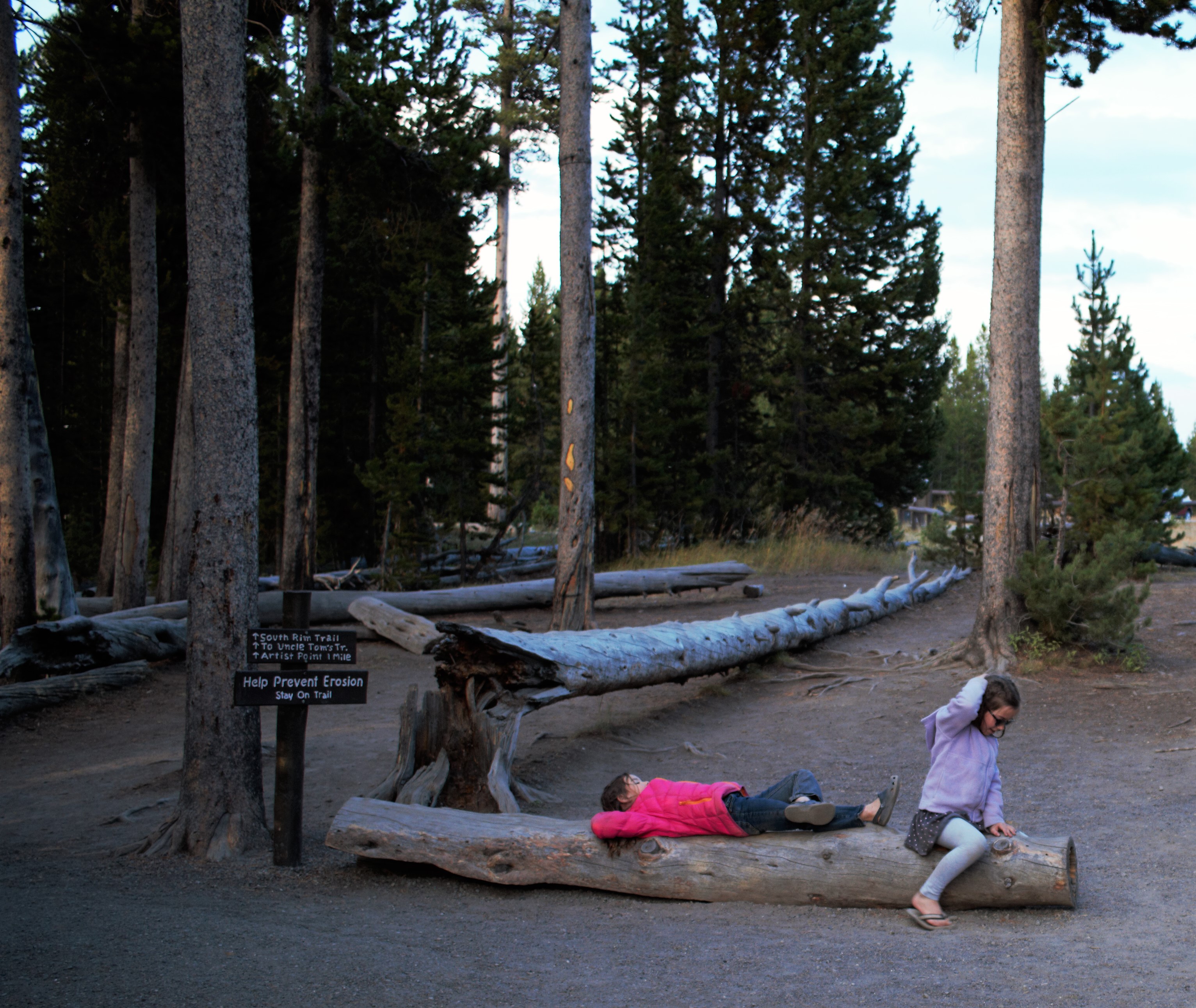 girls on log yellowstone.jpg