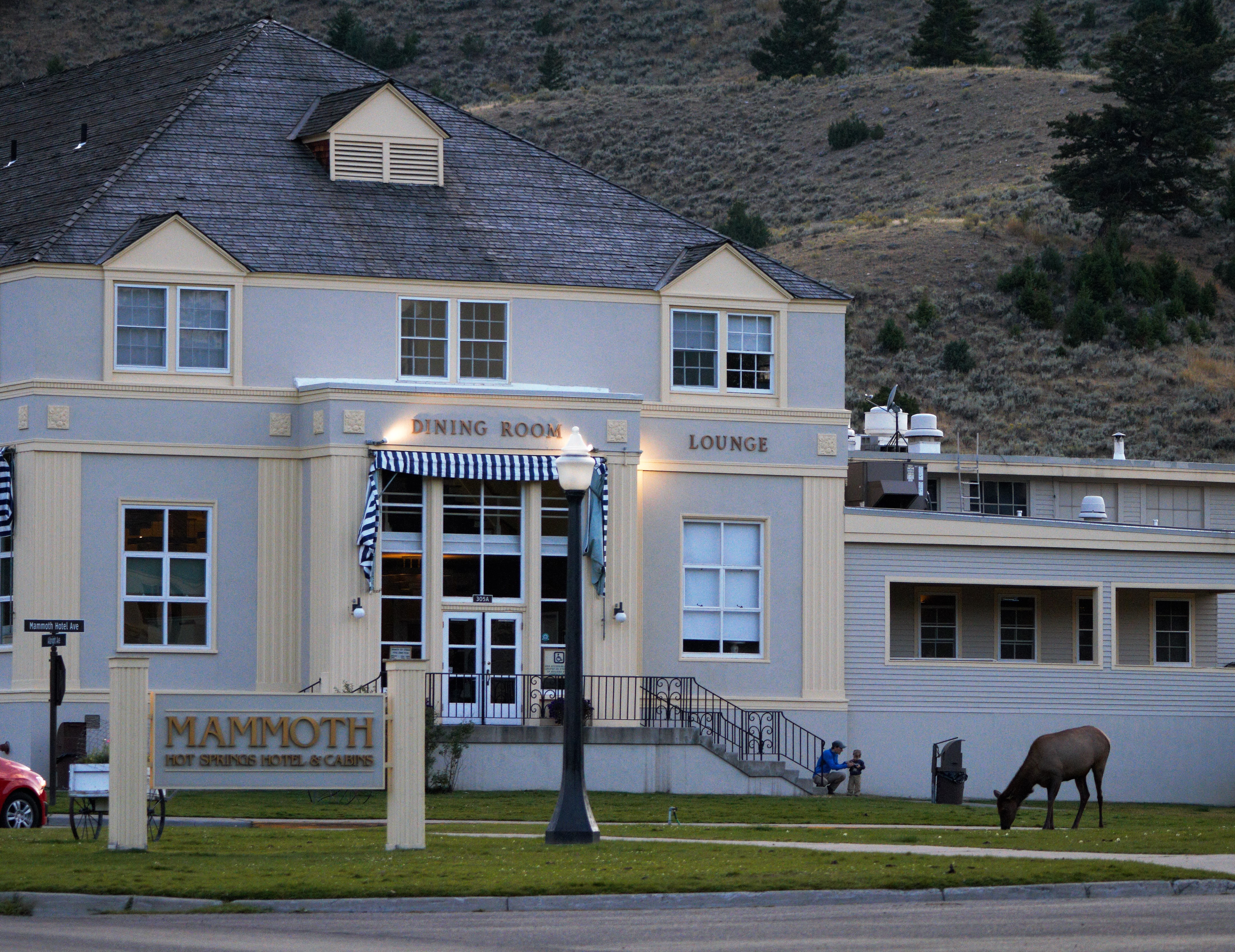 mammoth-hot-springs