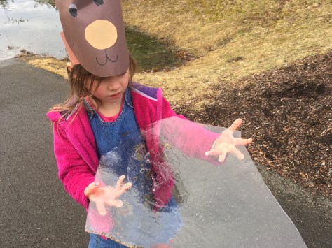 carrying a sheet of ice