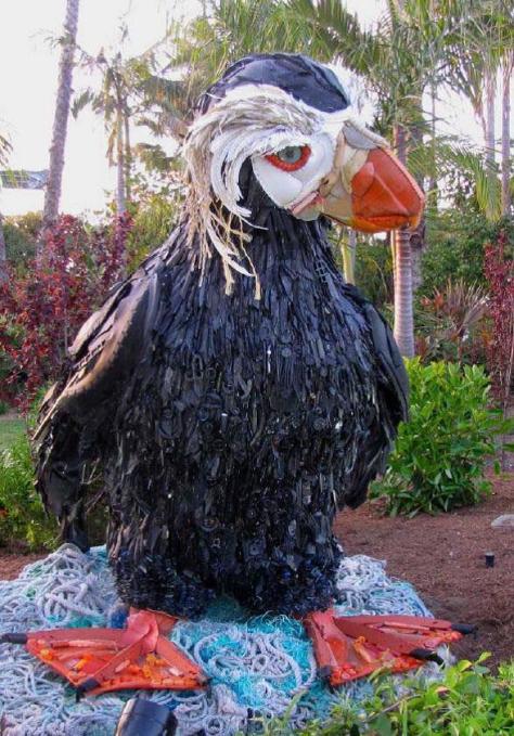 sebastain james the tufted penguin