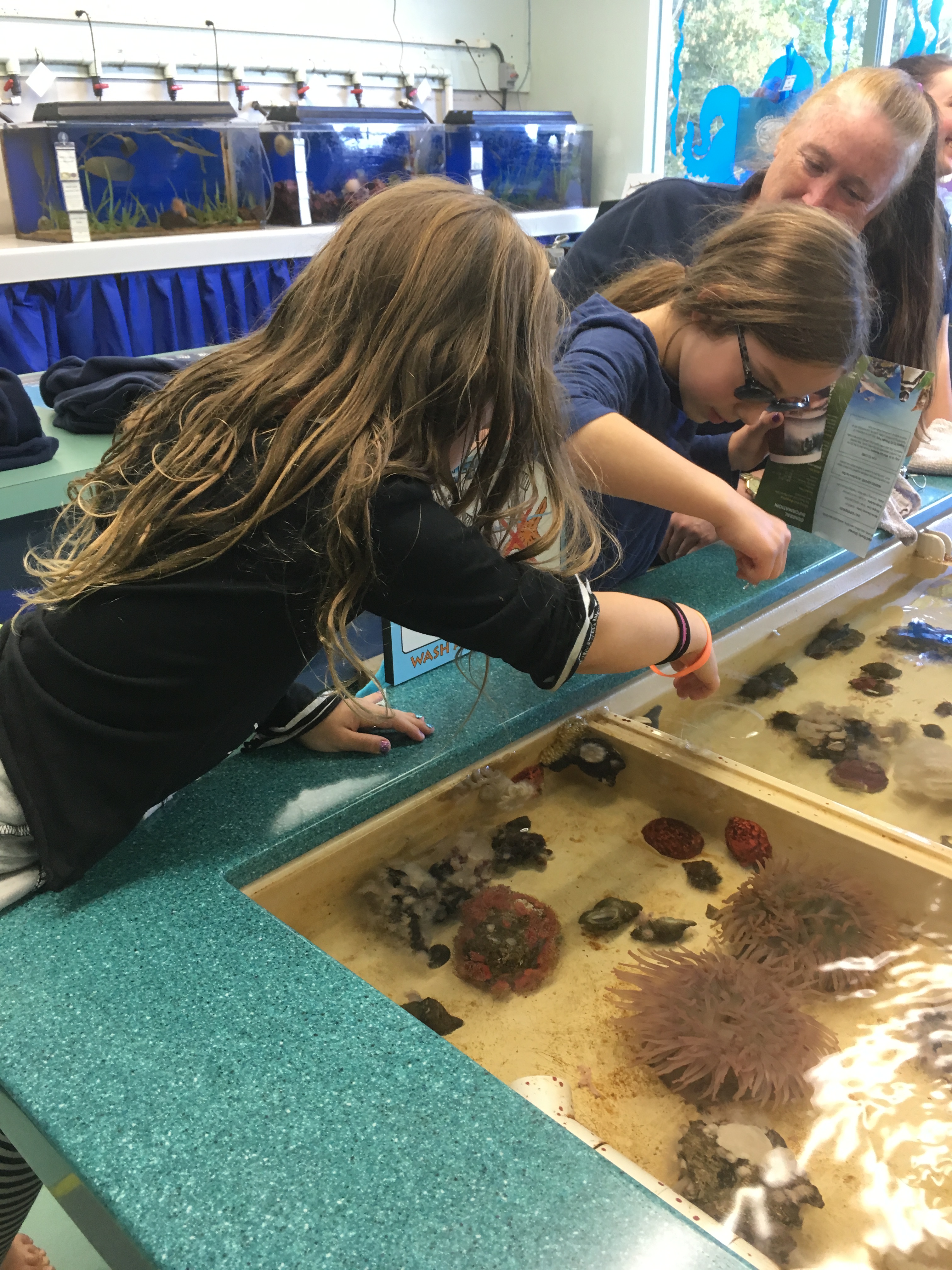 The marine discovery center Point Defiance Zoo aand Aquarium