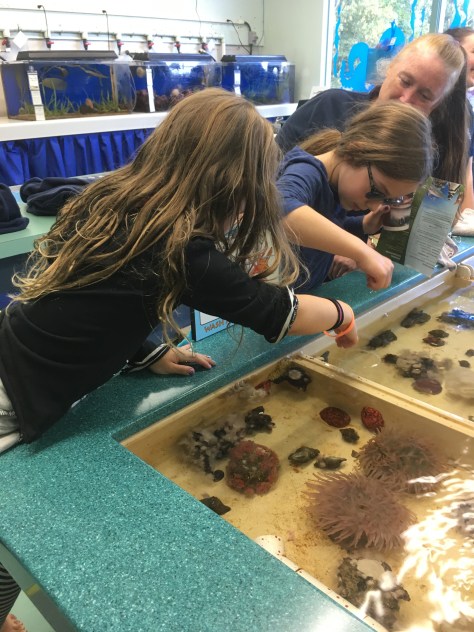 The marine discovery center Point Defiance Zoo aand Aquarium