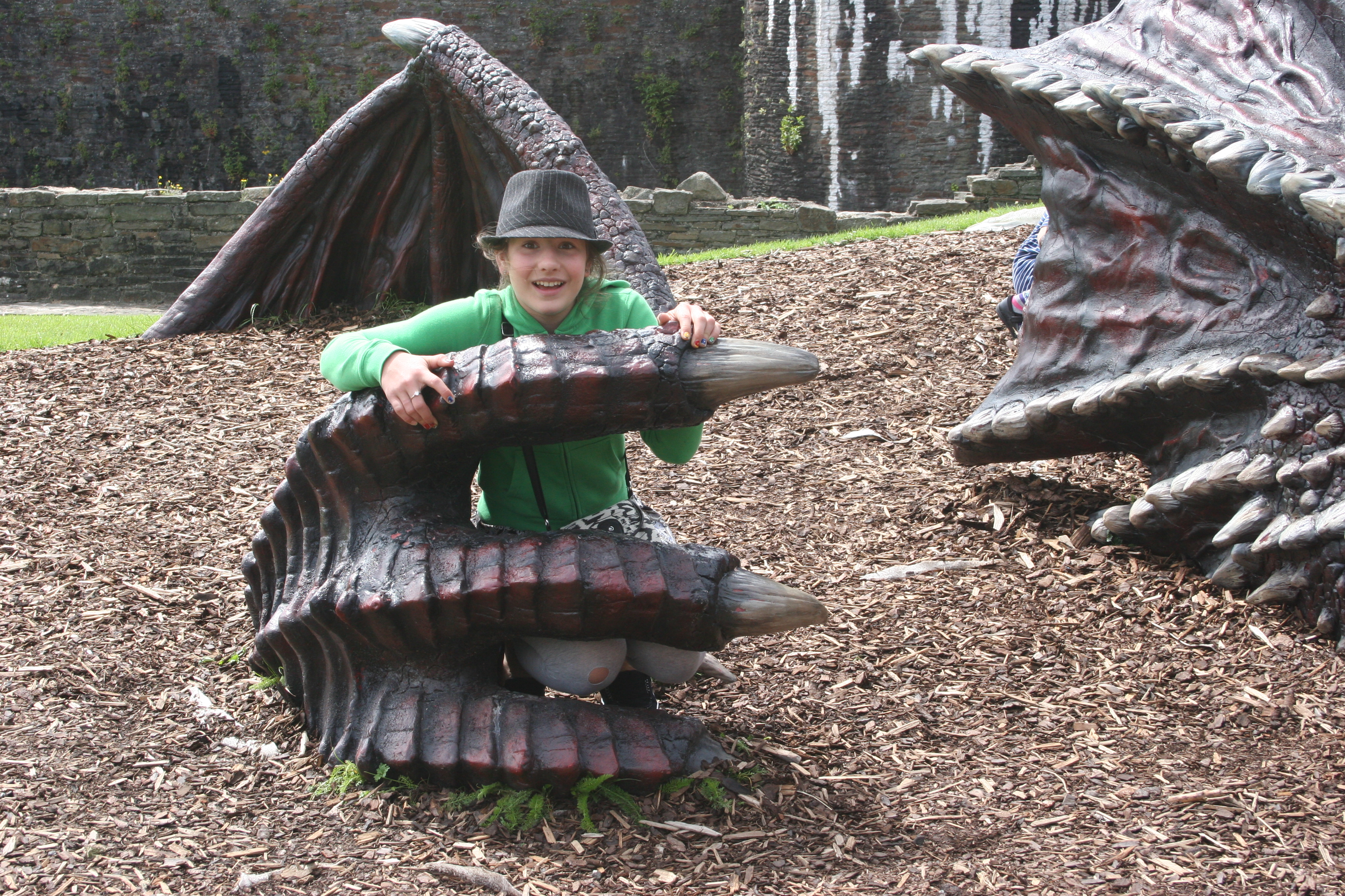 cadw dragons