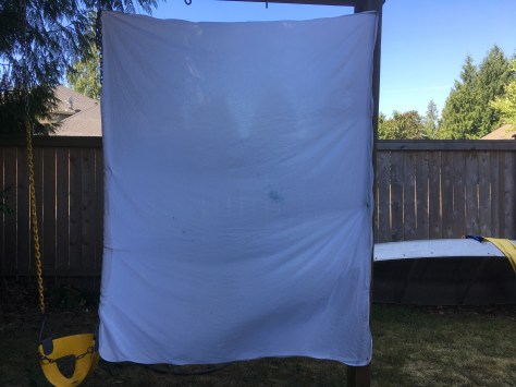 outdoor shadow puppet theatre