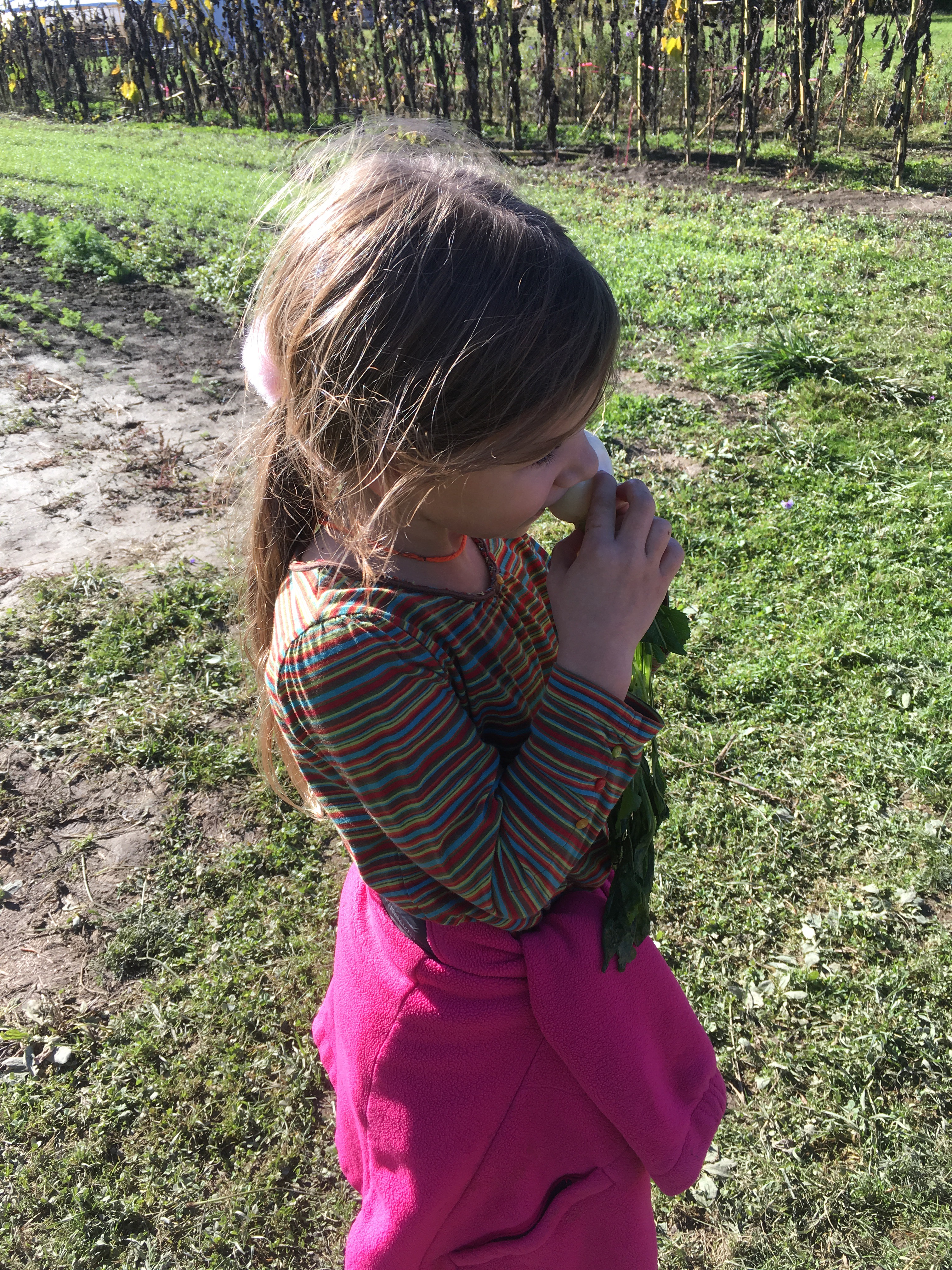 tasting a salad turnip