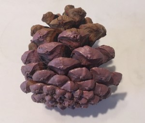 painted pine cone