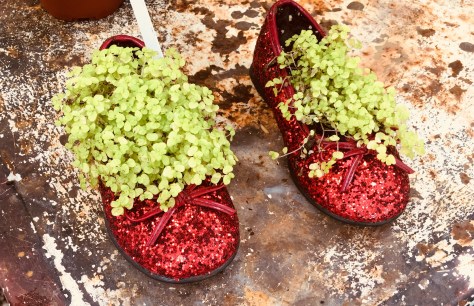 shoe planter